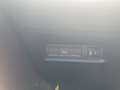 Fiat 600 Hybrid mHEV 145 6-Gang eDCT La Prima Grün - thumbnail 14