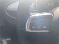 Fiat 600 Hybrid mHEV 145 6-Gang eDCT La Prima Grün - thumbnail 12