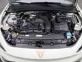 CUPRA Leon 1.5eTSI DSG/ Matrix, Navi, RFK Gris - thumbnail 18