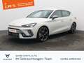 CUPRA Leon 1.5eTSI DSG/ Matrix, Navi, RFK Gris - thumbnail 1