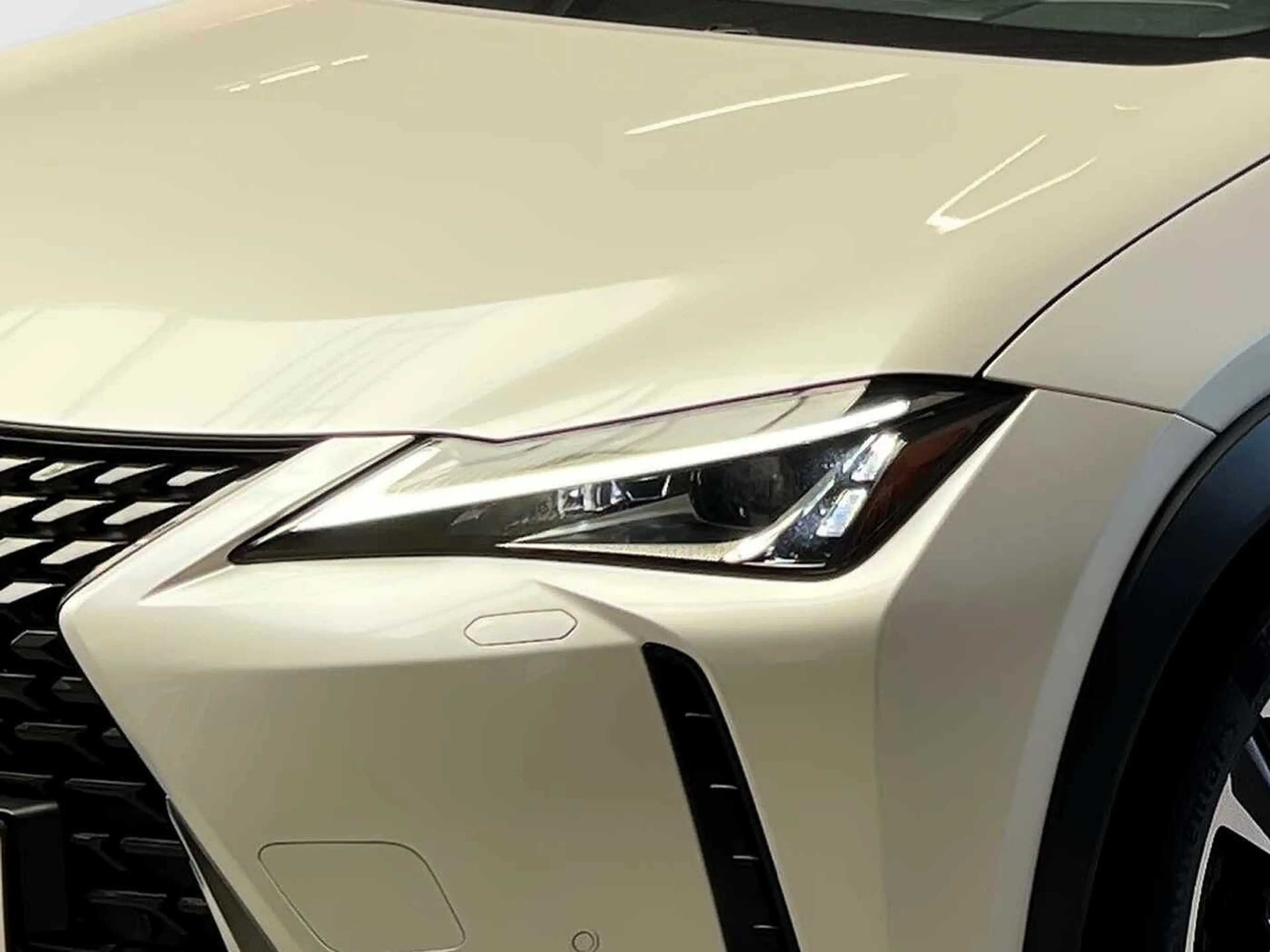 Lexus UX 250h 2.0 Hybrid Style Edition — photo 14