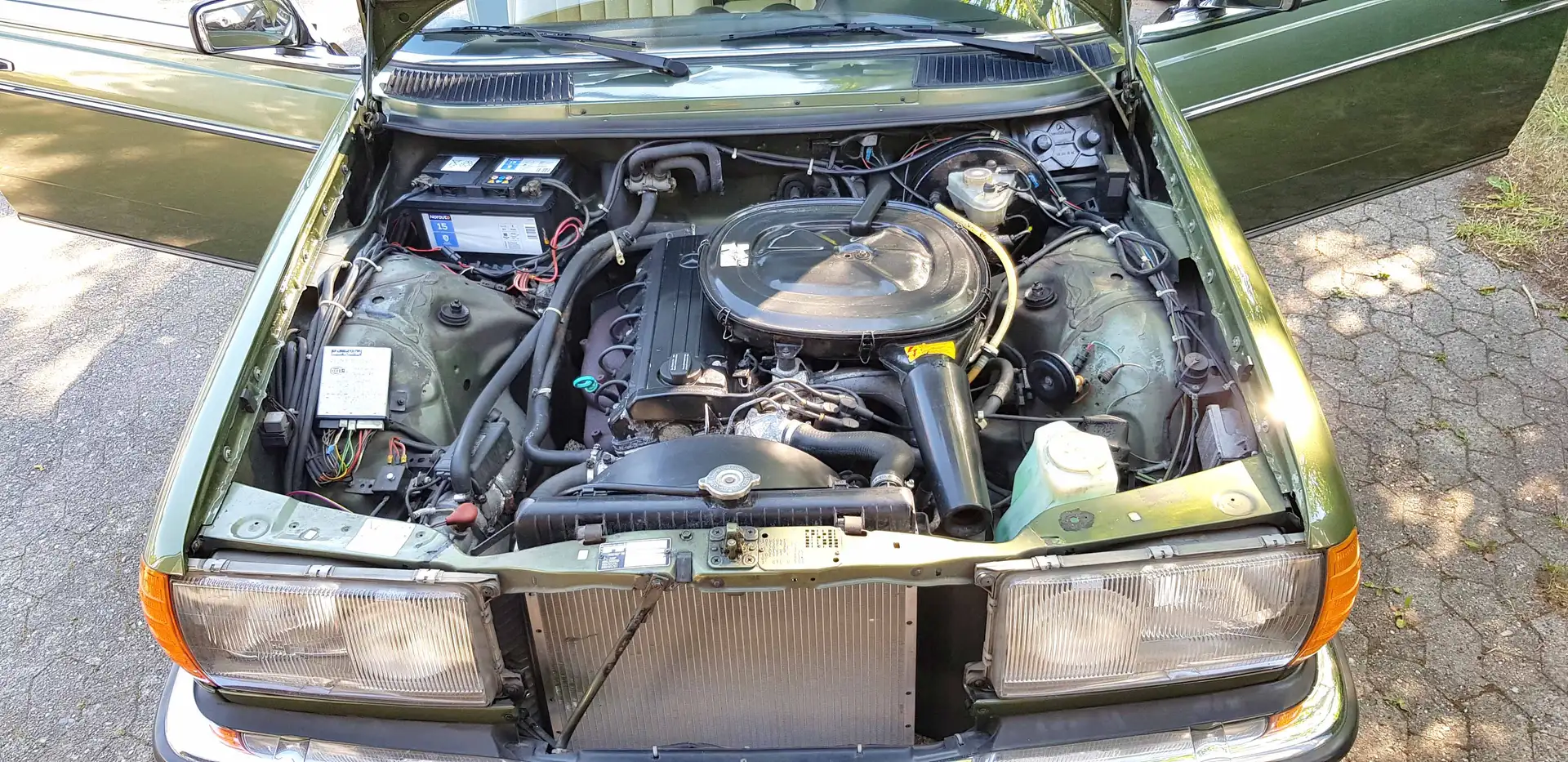 Mercedes-Benz CE 230 W123C Grün - 2