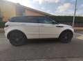 Land Rover Range Rover Evoque Range Rover Evoque 2.2L eD4 Pure Tech 4x2 Pure Tech Blanco - thumbnail 4