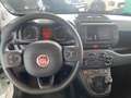 Fiat Panda Cross 1.0 FireFly Hybrid Blanco - thumbnail 11