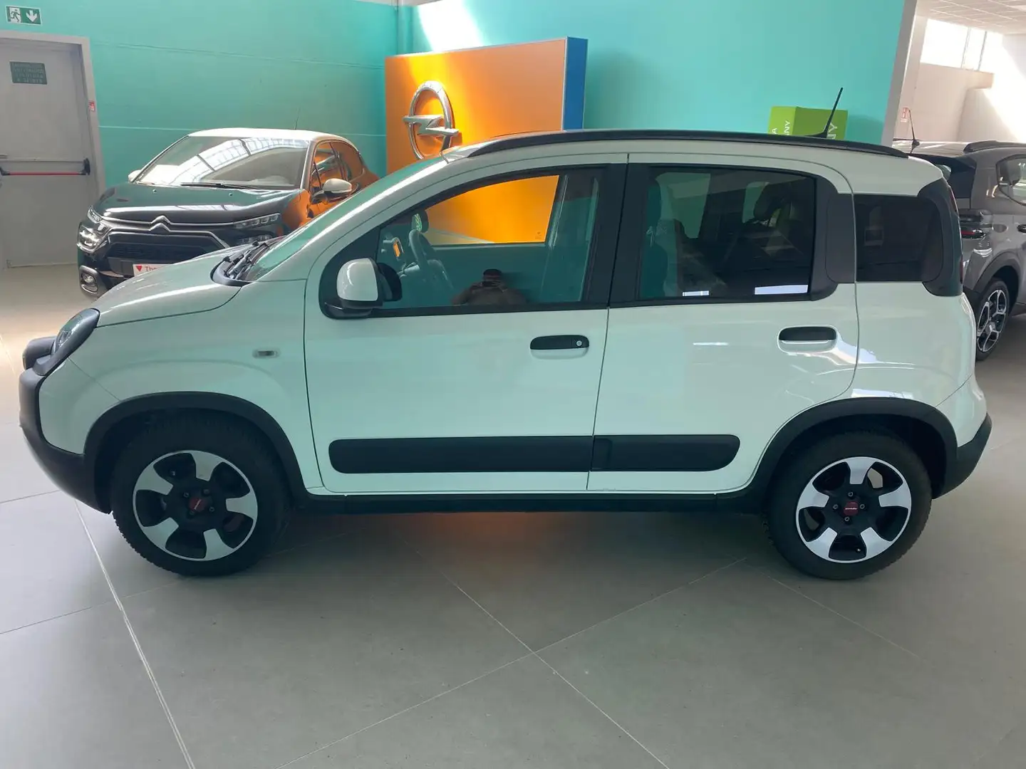 Fiat Panda Cross 1.0 FireFly Hybrid Blanco - 2