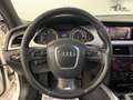 Audi A4 Avant SW S-LINE Tetto Apribile 2.0 TDI Bianco - thumbnail 13
