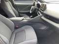Toyota C-HR C-HR Hybrid Style Grau - thumbnail 13