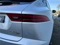 Jaguar E-Pace P300e ch PHEV AWD BVA R-Dynamic S - thumbnail 35