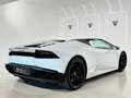 Lamborghini Huracán LP 610-4 Spyder Blanco - thumbnail 5
