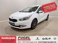 Kia Ceed SW / cee'd SW 1.6 Spirit Xenon|Pilot|Perform. Weiß - thumbnail 1