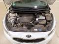 Kia Ceed SW / cee'd SW 1.6 Spirit Xenon|Pilot|Perform. Weiß - thumbnail 14