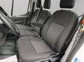 Ford Transit 350 tr.post. 2.0 tdci mhev 130cv trend l2 scattoli Grigio - thumbnail 10