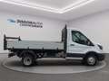 Ford Transit 350 tr.post. 2.0 tdci mhev 130cv trend l2 scattoli Grigio - thumbnail 6