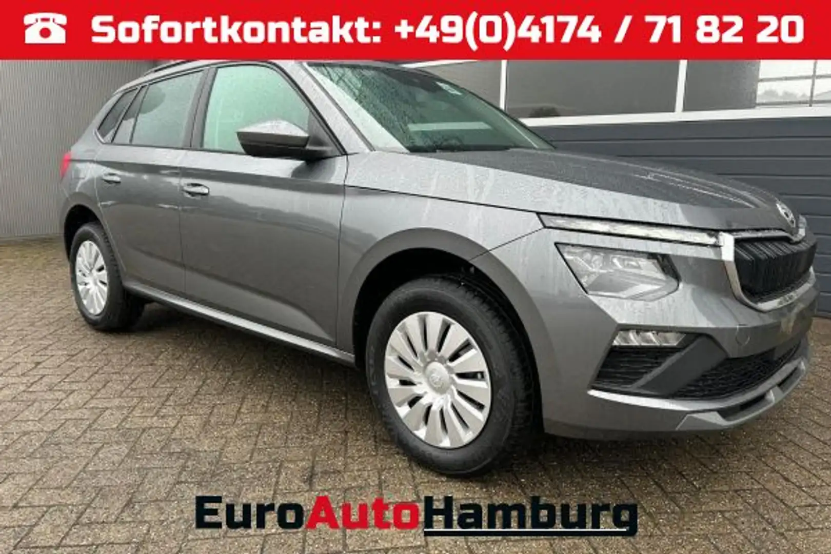 Skoda Kamiq 1.0 TSI 115PS DSG Selection Matrix-LED Sitzheizung Grau - 1