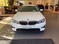 BMW 320 d Touring Sport Line DAB ACC + Stop&Go AHK Blanco - thumbnail 6