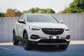 Opel Grandland X 1.5 diesel Ecotec Start&Stop aut. Ultimate Bianco - thumbnail 1