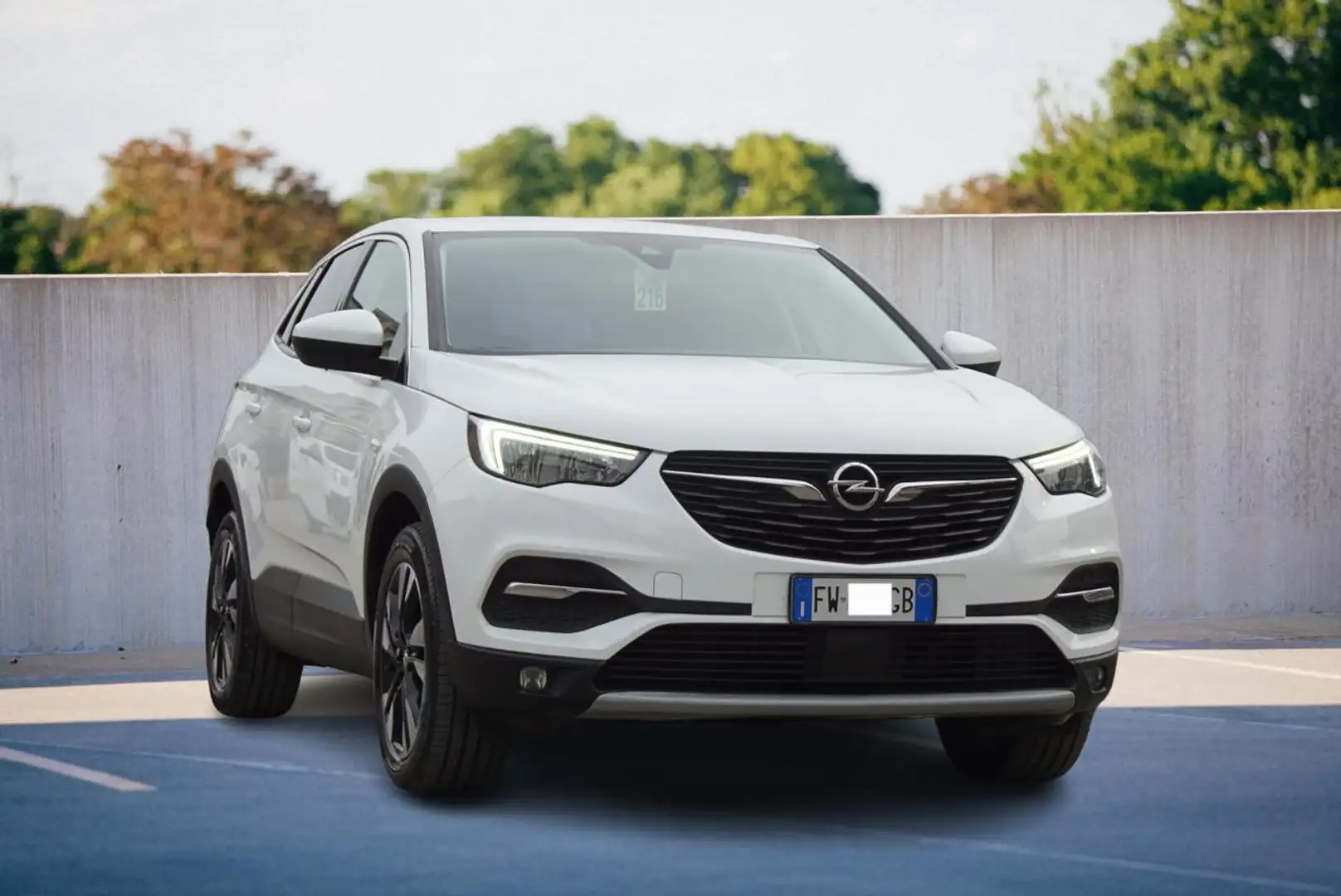 Opel Grandland X 1.5 diesel Ecotec Start&Stop aut. Ultimate Bianco - 1