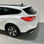 Ford Focus 1.0 Ecoboost MHEV Active 125 Blanco - thumbnail 8