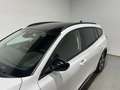 Ford Focus 1.0 Ecoboost MHEV Active 125 Blanco - thumbnail 6