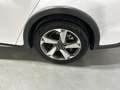 Ford Focus 1.0 Ecoboost MHEV Active 125 Blanco - thumbnail 12