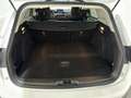 Ford Focus 1.0 Ecoboost MHEV Active 125 Blanco - thumbnail 11