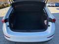 Skoda Scala Drive 125 1,0l TSI DSG *ACC*LED* Weiß - thumbnail 12