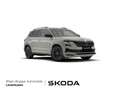 Skoda Karoq TSI DSG Sportline MATRIX ACC DCC SHZ KL Grigio - thumbnail 1