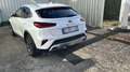 Kia XCeed 1.5T-GDi More ISG DCT Blanc - thumbnail 2