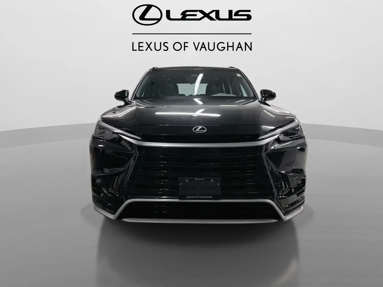 Lexus TX снимка Lexus TX