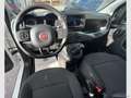 Fiat Panda Cross 1.0 FireFly S&S Hybrid Bianco - thumbnail 10