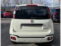 Fiat Panda Cross 1.0 FireFly S&S Hybrid Bianco - thumbnail 6
