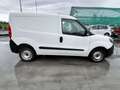 Fiat Doblo CH1 BUSINESS 1.3 MJET 95CV E6D SeS - GC421PP Blanc - thumbnail 5