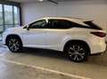Lexus RX 450h RX 450h (hybrid) Executive Line Weiß - thumbnail 8