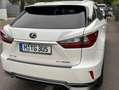 Lexus RX 450h RX 450h (hybrid) Executive Line Weiß - thumbnail 2