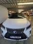 Lexus RX 450h RX 450h (hybrid) Executive Line Weiß - thumbnail 9