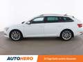 Skoda Superb 2.0 TDI Ambition Aut. *NAVI*XENON*PANO*AHK*PDC* Blanc - thumbnail 3