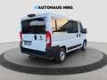 Fiat Ducato Kombi L1H1 *9-SITZE*KAMERA*CARPLAY*AHK* - thumbnail 5