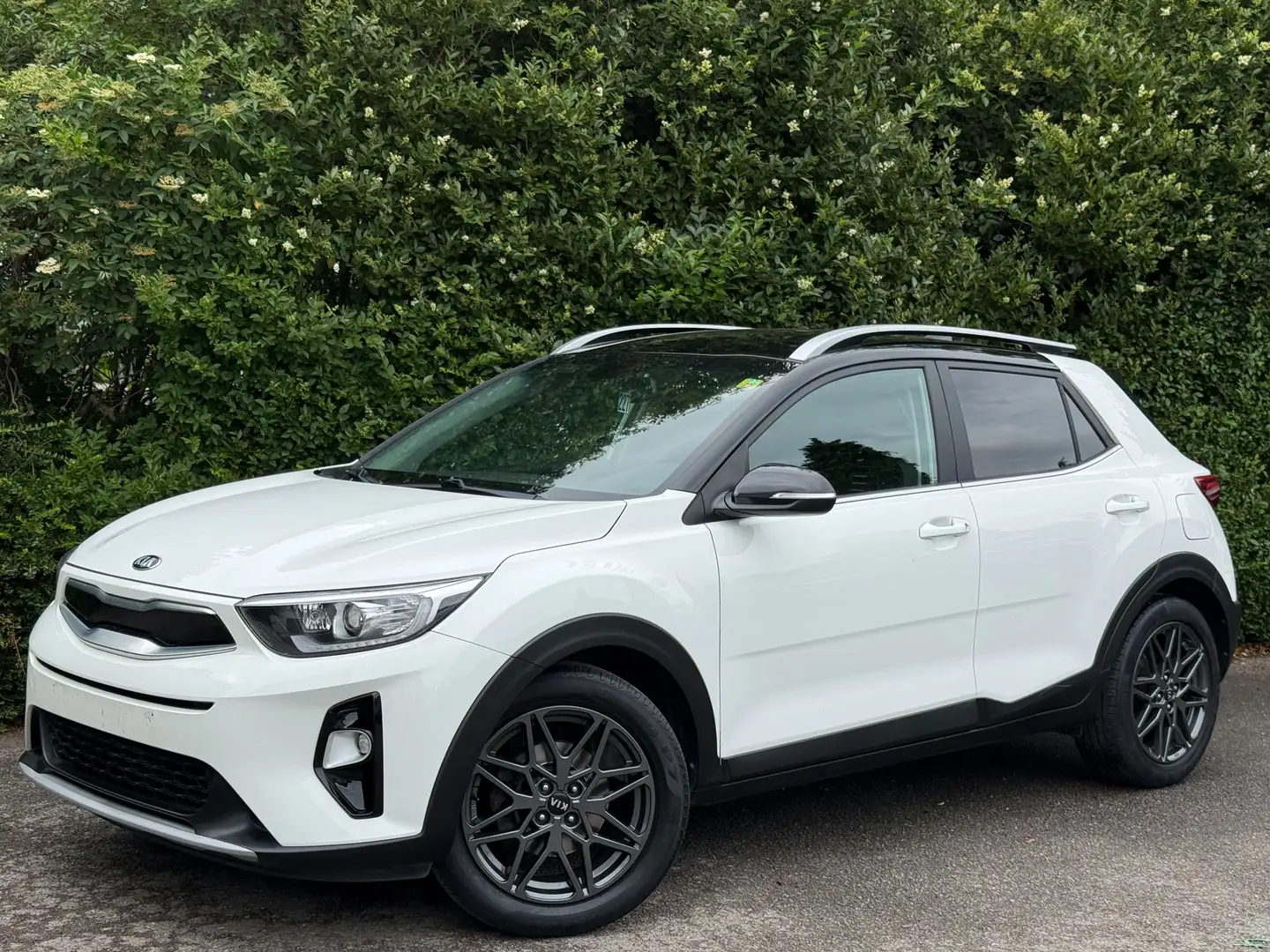 Kia Stonic 1.0 T Black Edition+NAVI+CAMERA+CARNET+JANTES+E6DT Wit - 1