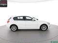 BMW 116 116 i M SPORT LENKRAD TEMPOMAT,SITZHEIZUNG,PDC Bianco - thumbnail 6