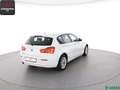 BMW 116 116 i M SPORT LENKRAD TEMPOMAT,SITZHEIZUNG,PDC Bianco - thumbnail 5
