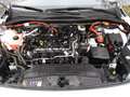 Ford Kuga Plug-In Hybrid Titanium X Automatik Weiß - thumbnail 14
