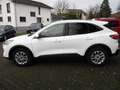 Ford Kuga Plug-In Hybrid Titanium X Automatik Weiß - thumbnail 2