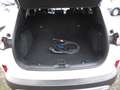 Ford Kuga Plug-In Hybrid Titanium X Automatik Weiß - thumbnail 13