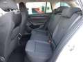 Skoda Octavia Combi 2,0 TDI DSG *MATRIX-LED / 17 ZOLL / VIRTUELL / NAVI / AHV & KAMERA / ACC / E-KLAPPE / KEYLESS* Weiß - thumbnail 11