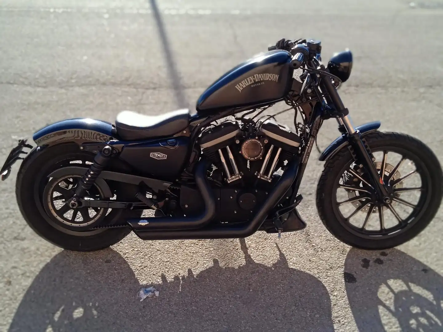 Harley-Davidson Iron 883 2013 Negro - 1