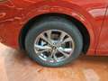 Ford Kuga ST-Line X - FHEV 2.5 - BTW wagen Rood - thumbnail 10