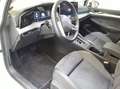 Volkswagen Golf VIII 1.5 TSI DSG eHybrid Life AHK, VWG Weiß - thumbnail 5