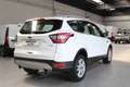 Ford Kuga 1.5 EcoBoost 120 CV S&S 2WD Titanium Bianco - thumbnail 4
