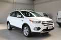Ford Kuga 1.5 EcoBoost 120 CV S&S 2WD Titanium Bianco - thumbnail 3