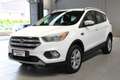 Ford Kuga 1.5 EcoBoost 120 CV S&S 2WD Titanium Bianco - thumbnail 1